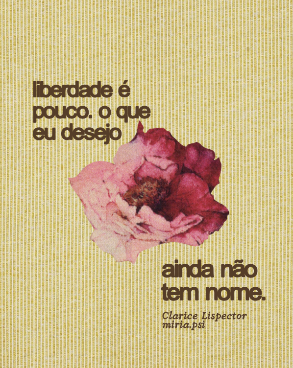 Arte 1 da Pack Vênus
