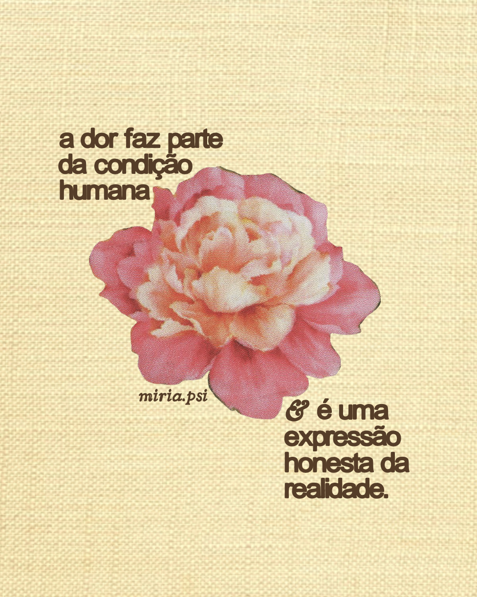 Arte 4 da Pack Vênus